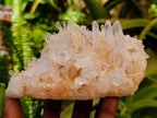 Natural Clear Tangerine Quartz Crystal Clusters x 6 From Madagascar