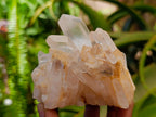 Natural Clear Tangerine Quartz Crystal Clusters x 6 From Madagascar