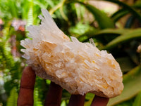 Natural Clear Tangerine Quartz Crystal Clusters x 6 From Madagascar