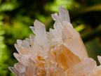 Natural Clear Tangerine Quartz Crystal Clusters x 6 From Madagascar