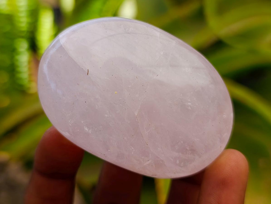 Polished Gemmy Rose Quartz Palm Stones x 12 From Madagascar