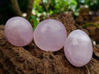 Polished Gemmy Rose Quartz Palm Stones x 12 From Madagascar