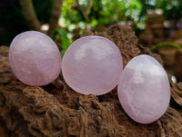 Polished Gemmy Rose Quartz Palm Stones x 12 From Madagascar