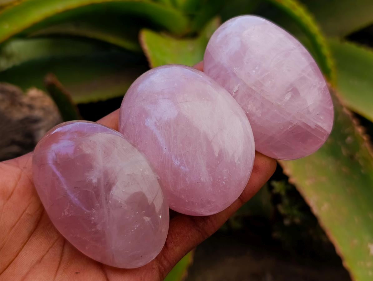 Polished Gemmy Rose Quartz Palm Stones x 12 From Madagascar