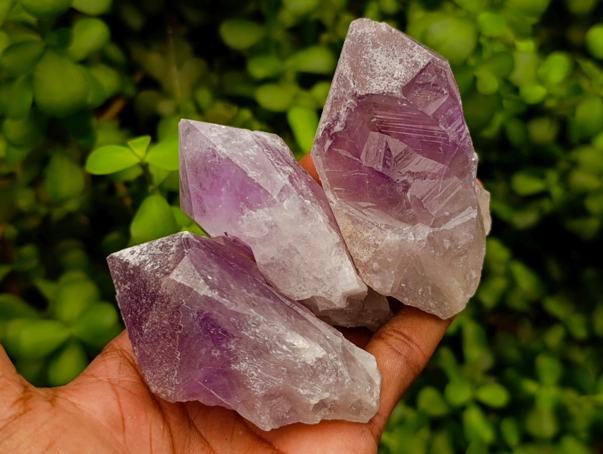 Natural Jacaranda Amethyst Single Crystals x 12 From Mumbwa, Zambia