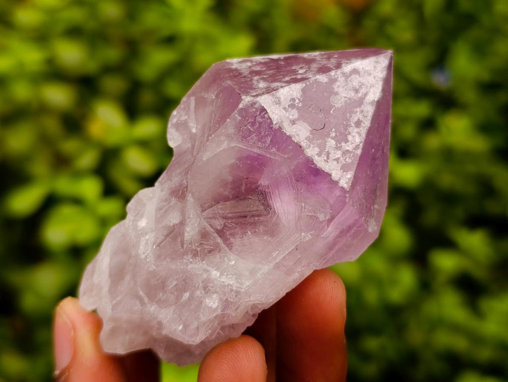 Natural Jacaranda Amethyst Single Crystals x 12 From Mumbwa, Zambia