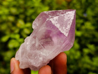 Natural Jacaranda Amethyst Single Crystals x 12 From Mumbwa, Zambia
