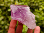 Natural Jacaranda Amethyst Single Crystals x 12 From Mumbwa, Zambia