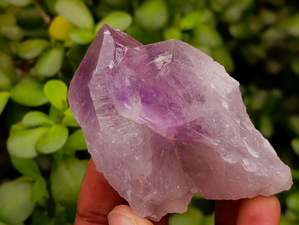 Natural Jacaranda Amethyst Single Crystals x 12 From Mumbwa, Zambia
