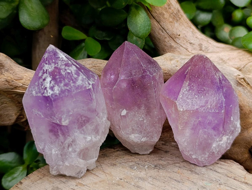 Natural Jacaranda Amethyst Single Crystals x 12 From Mumbwa, Zambia