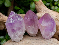 Natural Jacaranda Amethyst Single Crystals x 12 From Mumbwa, Zambia