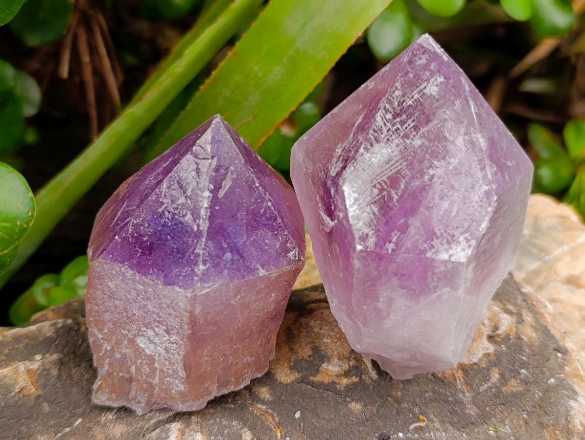 Natural Jacaranda Amethyst Single Crystals x 12 From Mumbwa, Zambia