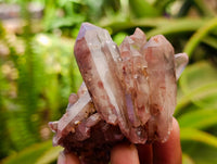 Natural Red Hematoid Quartz Crystal Clusters x 12 From Karoi, Zimbabwe