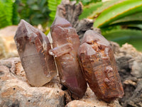 Natural Red Hematoid Quartz Crystal Clusters x 12 From Karoi, Zimbabwe