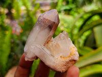 Natural Red Hematoid Quartz Crystal Clusters x 12 From Karoi, Zimbabwe