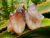 Natural Red Hematoid Quartz Crystal Clusters x 12 From Karoi, Zimbabwe