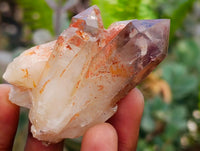 Natural Red Hematoid Quartz Crystal Clusters x 12 From Karoi, Zimbabwe