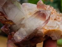 Natural Red Hematoid Quartz Crystal Clusters x 12 From Karoi, Zimbabwe