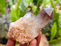 Natural Red Hematoid Quartz Crystal Clusters x 12 From Karoi, Zimbabwe