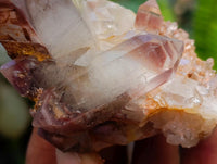 Natural Red Hematoid Quartz Crystal Clusters x 12 From Karoi, Zimbabwe