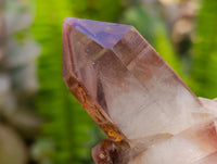 Natural Red Hematoid Quartz Crystal Clusters x 12 From Karoi, Zimbabwe