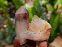 Natural Red Hematoid Quartz Crystal Clusters x 12 From Karoi, Zimbabwe