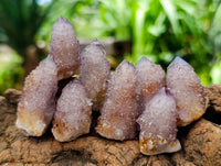 Natural Smokey Spirit Ametrine Single Crystals x 70 From Boekenhouthoek, South Africa