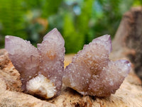 Natural Smokey Spirit Ametrine Single Crystals x 70 From Boekenhouthoek, South Africa