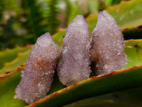Natural Smokey Spirit Ametrine Single Crystals x 70 From Boekenhouthoek, South Africa