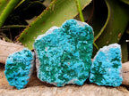 Natural Malacolla Specimens with Botryoidal Malachite x 3 From Kulukuluku, Congo