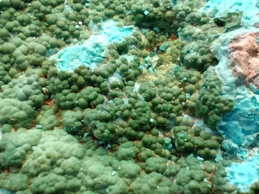 Natural Malacolla Specimens with Botryoidal Malachite x 3 From Kulukuluku, Congo