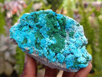 Natural Malacolla Specimens with Botryoidal Malachite x 3 From Kulukuluku, Congo