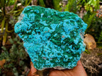 Natural Malacolla Specimens with Botryoidal Malachite x 3 From Kulukuluku, Congo