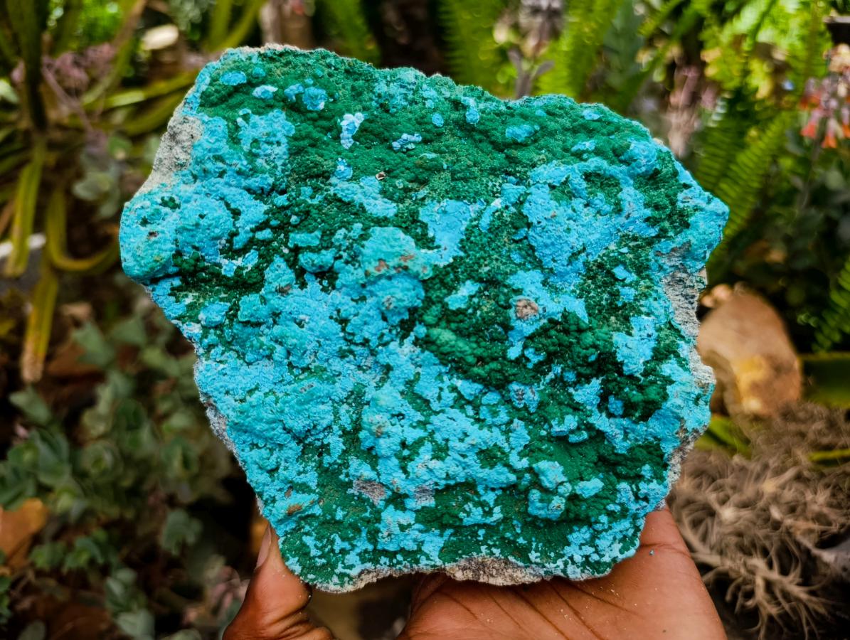 Natural Malacolla Specimens with Botryoidal Malachite x 3 From Kulukuluku, Congo