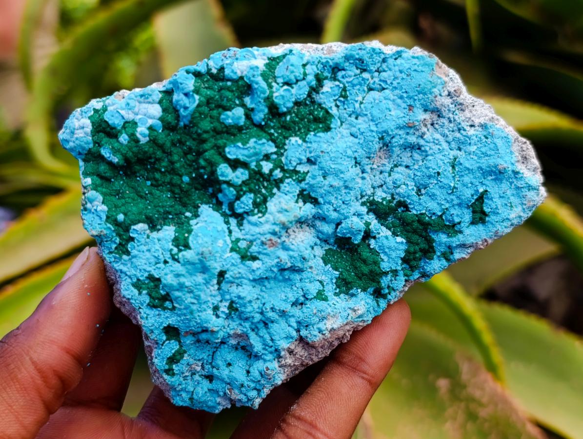 Natural Malacolla Specimens with Botryoidal Malachite x 3 From Kulukuluku, Congo