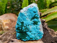 Natural Malacolla Specimens with Botryoidal Malachite x 3 From Kulukuluku, Congo