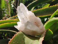 Natural Mixed Quartz Crystal Clusters x 3 From Madagascar