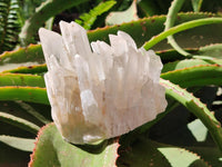 Natural Mixed Quartz Crystal Clusters x 3 From Madagascar