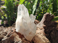 Natural Mixed Quartz Crystal Clusters x 3 From Madagascar
