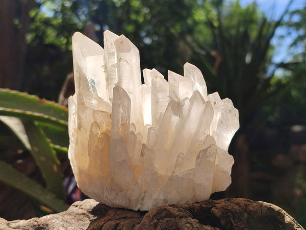 Natural Mixed Quartz Crystal Clusters x 3 From Madagascar