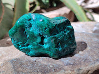 Polished Flower Banded Malachite Free Forms x 14 From Congo