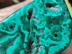 Polished Flower Banded Malachite Free Forms x 14 From Congo