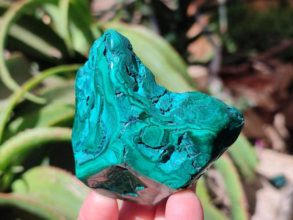 Polished Flower Banded Malachite Free Forms x 14 From Congo