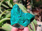 Polished Flower Banded Malachite Free Forms x 14 From Congo