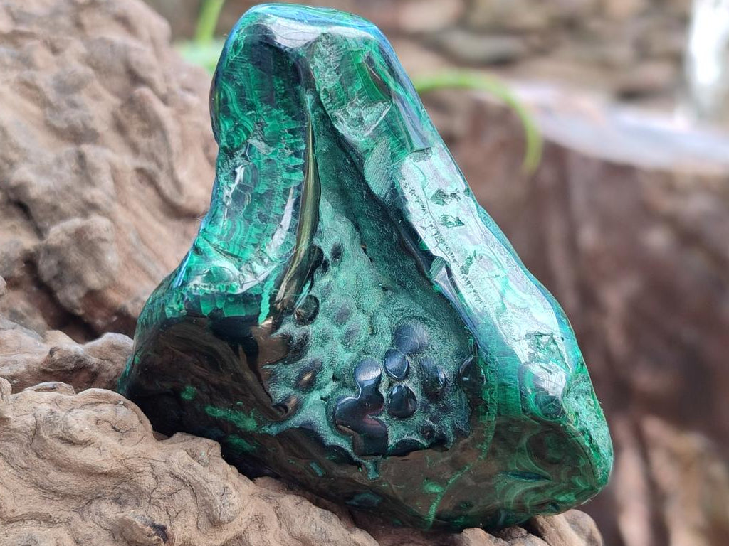 Polished Flower Banded Malachite Free Forms x 14 From Congo