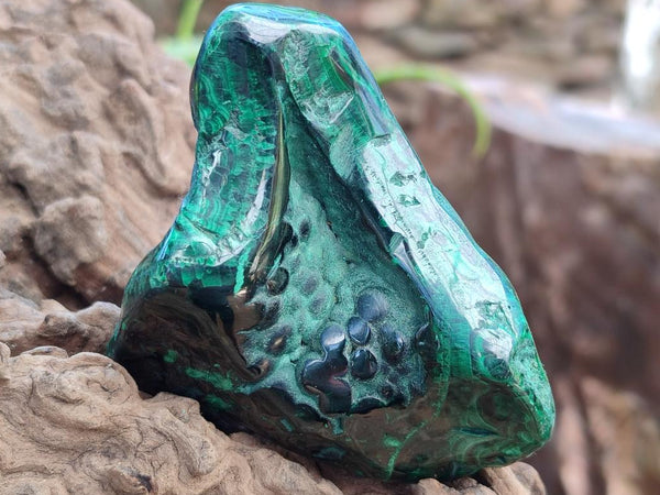 Polished Flower Banded Malachite Free Forms x 14 From Congo