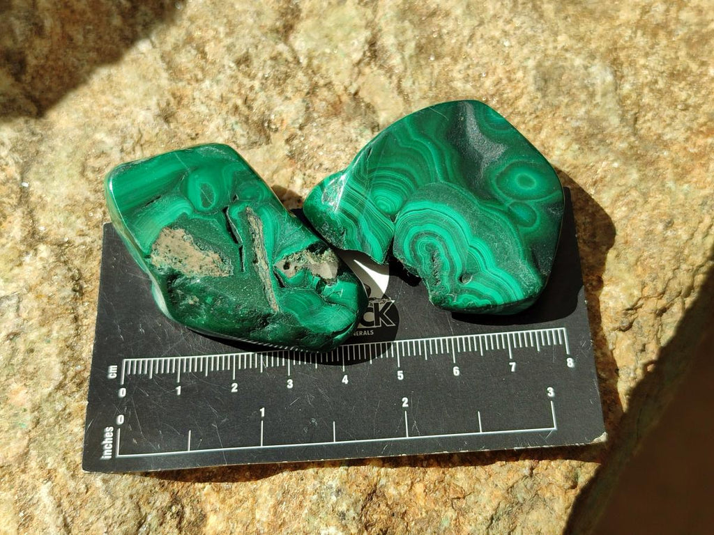 Polished Flower Banded Malachite Free Forms x 14 From Congo