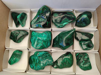 Polished Flower Banded Malachite Free Forms x 14 From Congo
