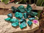 Polished Flower Banded Malachite Free Forms x 14 From Congo