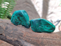 Polished Flower Banded Malachite Free Forms x 14 From Congo